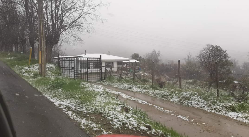 Nuevamente Caleu se tiñó de Blanco