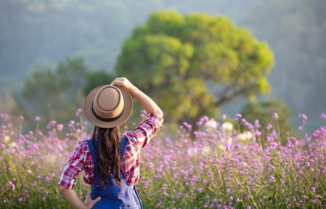 Tiltil se prepara para una semana primaveral con días soleados y temperaturas agradables.