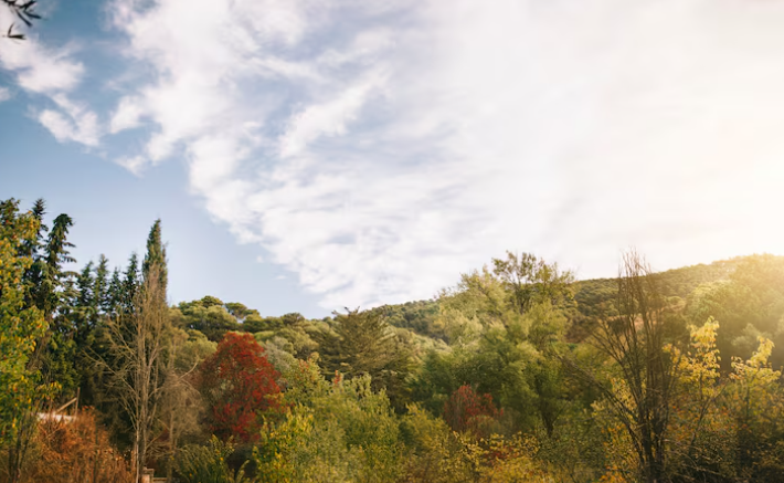 Cielos despejados y días agradables: el clima que acompañará a Tiltil esta semana