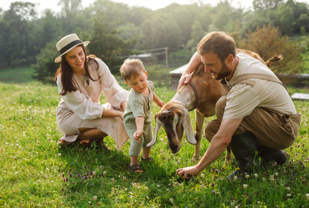 Semana con mucho sol y altas temperaturas en Tiltil: así estará el clima día a día